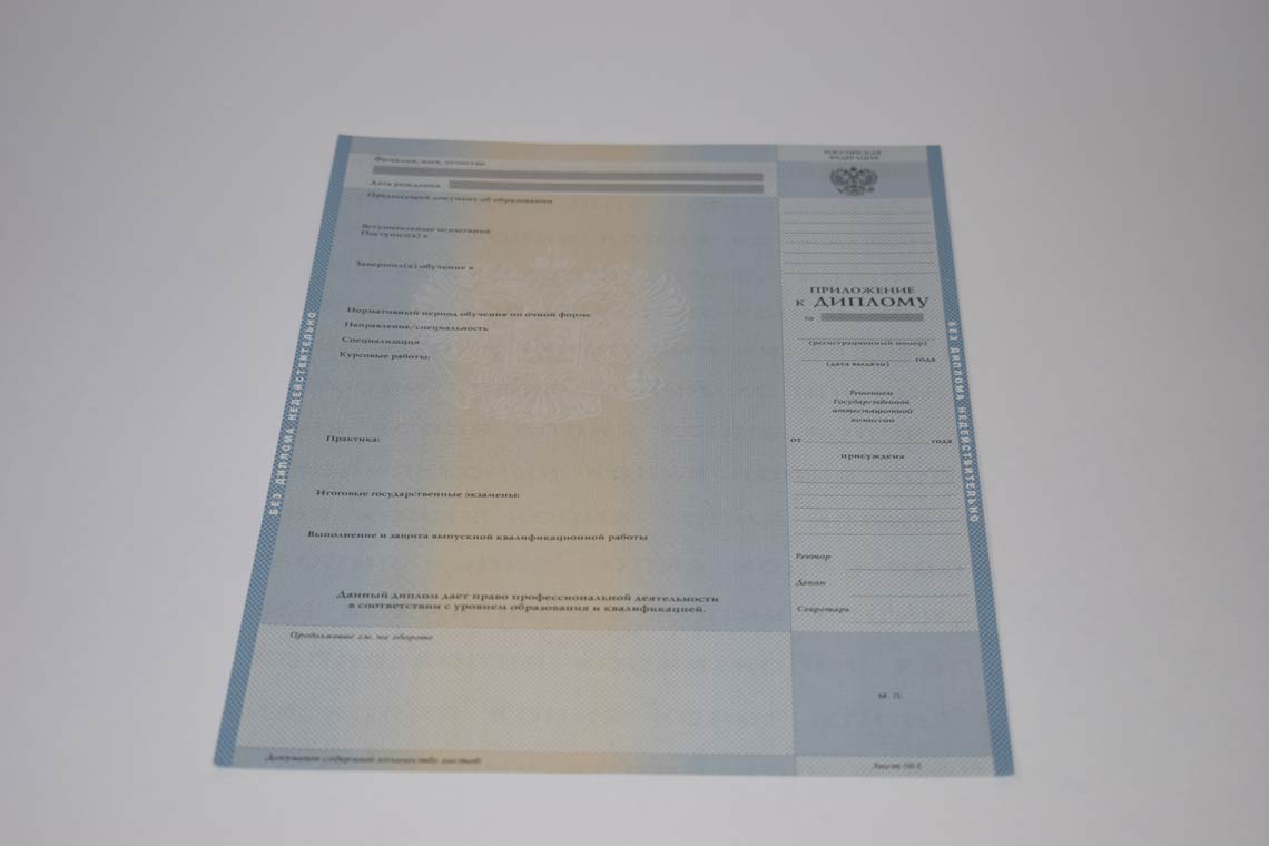 Диплом Магистра с 2003-2008 в Видном приложение